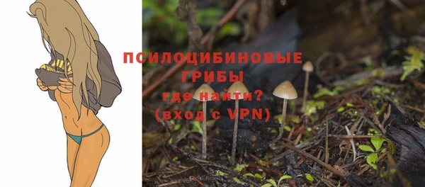 a pvp Верея