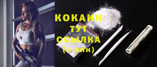 индика Верхний Тагил