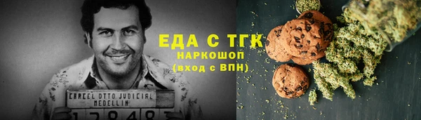 индика Верхний Тагил