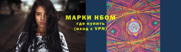 индика Верхний Тагил