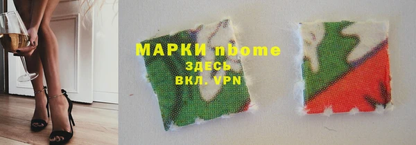 индика Верхний Тагил