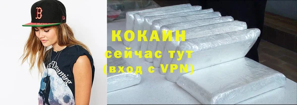 индика Верхний Тагил