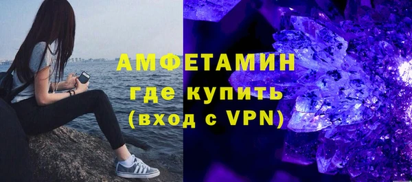индика Верхний Тагил