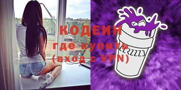 индика Верхний Тагил