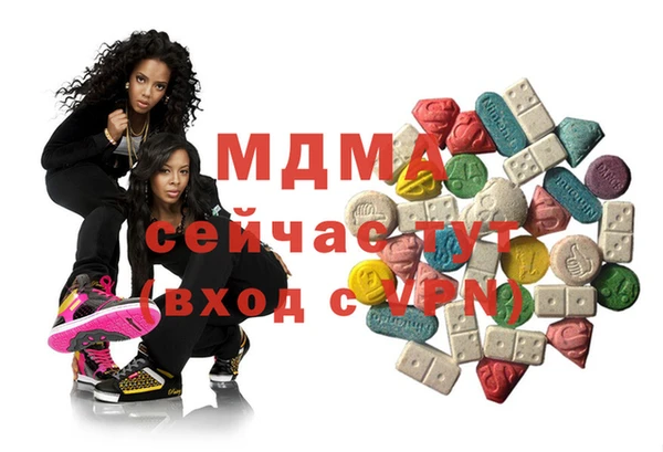 индика Верхний Тагил