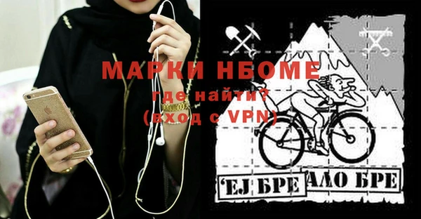 индика Верхний Тагил