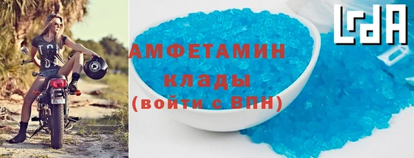 индика Верхний Тагил
