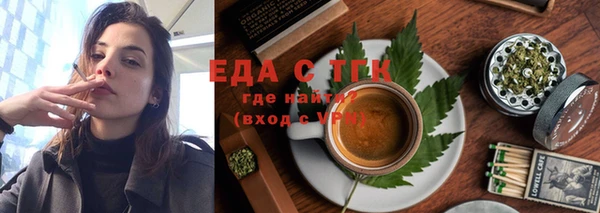 индика Верхний Тагил