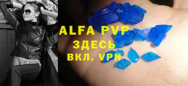 индика Верхний Тагил