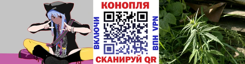 Шишки марихуана SATIVA & INDICA  мега tor  Гатчина 